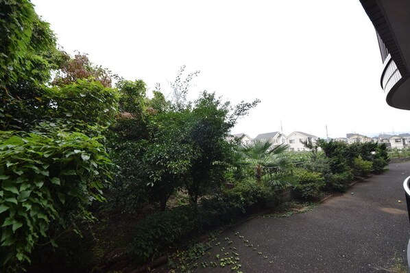 しゃんぐりらひる の物件内観写真